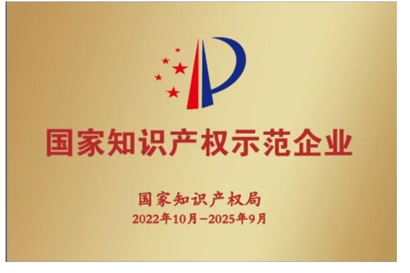 國家知識產權示范企業.png