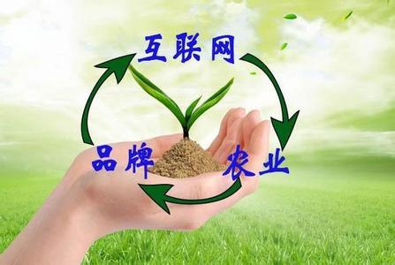 “互聯網+農業+品牌”等于什么？