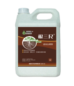 根三尺—逆光生根 養根三尺 