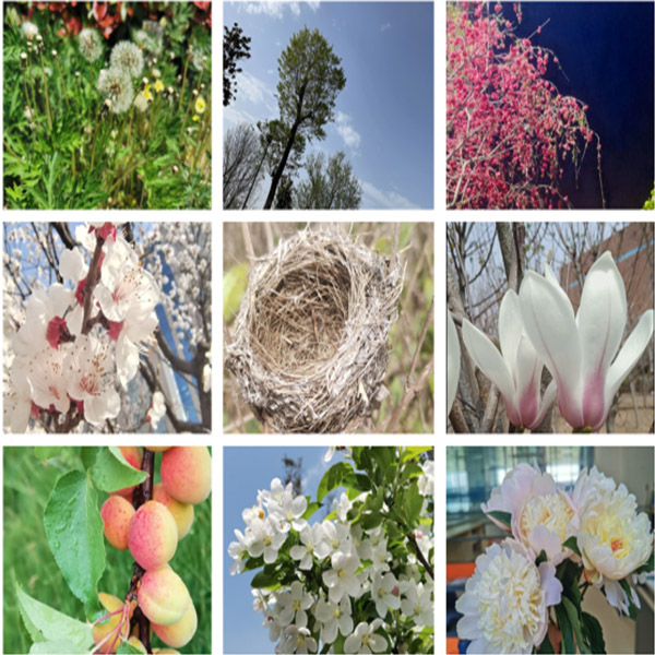 滕潤(rùn)翔“向上的力量，怒放的生命”主題活動(dòng)落地  